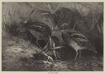 The Months, November by George Bouverie Goddard
